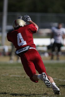 开云官网-中超球队年度压迫型战术执行人数统计,中超球场暴力