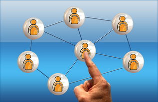 开云·Kaiyun网页版-英超球员社交媒体互动提升粉丝忠诚度研究，英超球队球迷